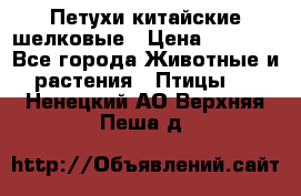 Петухи китайские шелковые › Цена ­ 1 000 - Все города Животные и растения » Птицы   . Ненецкий АО,Верхняя Пеша д.